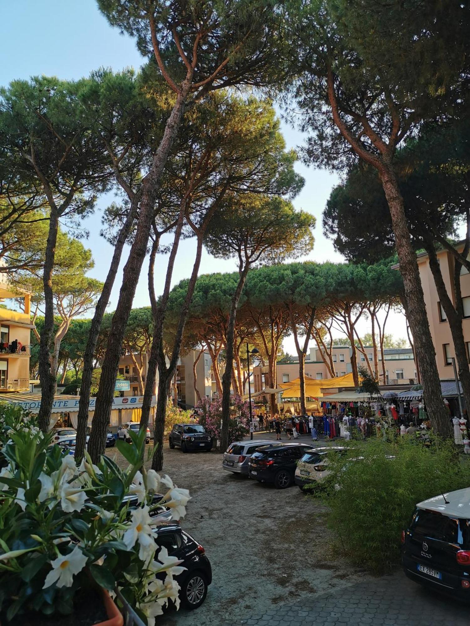 Hotel Pine Beach 罗索利纳马雷 外观 照片