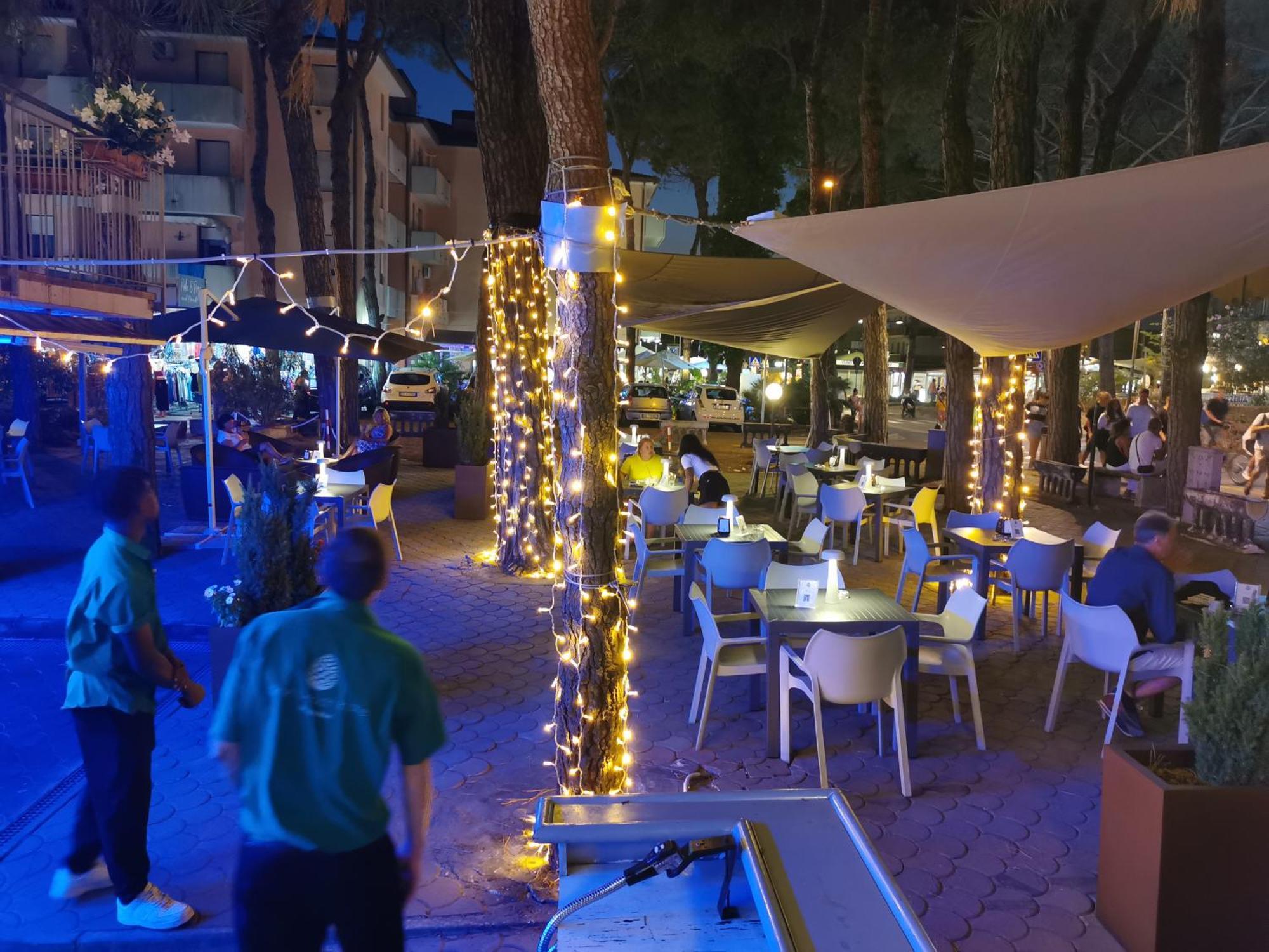Hotel Pine Beach 罗索利纳马雷 外观 照片
