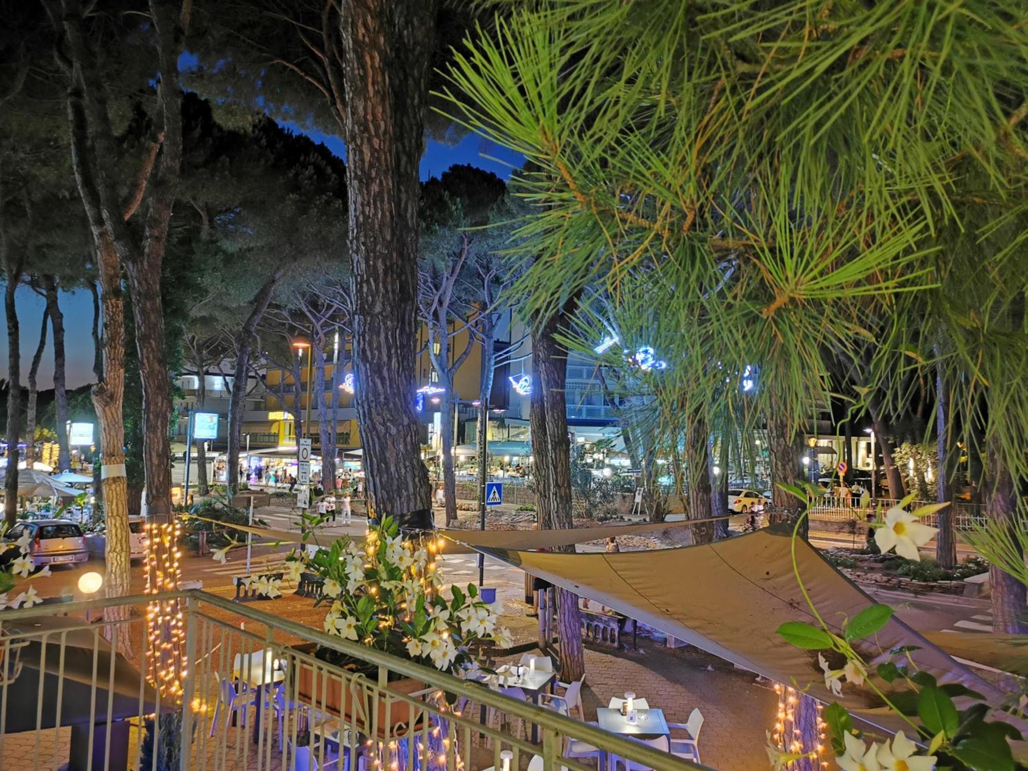 Hotel Pine Beach 罗索利纳马雷 外观 照片