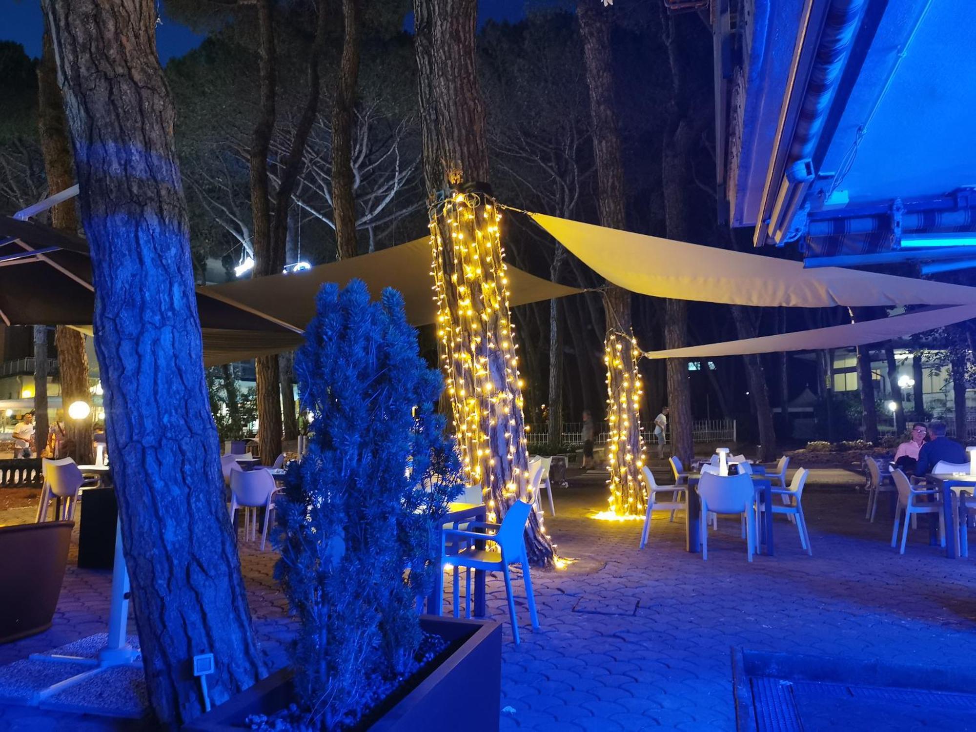 Hotel Pine Beach 罗索利纳马雷 外观 照片